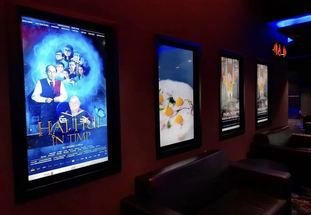 The poster in cinemas